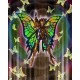 Myth Cloth - Papillon Myu EU