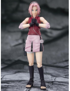 Naruto Shippuden - Sakura Haruno Inheritor SHF