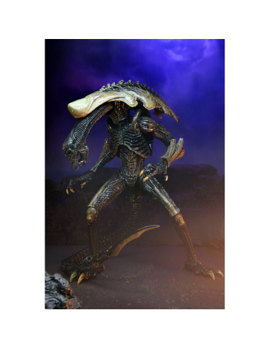 Alien VS Predator - Chrysalys Alien Neca