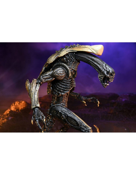 Alien VS Predator - Chrysalys Alien Neca