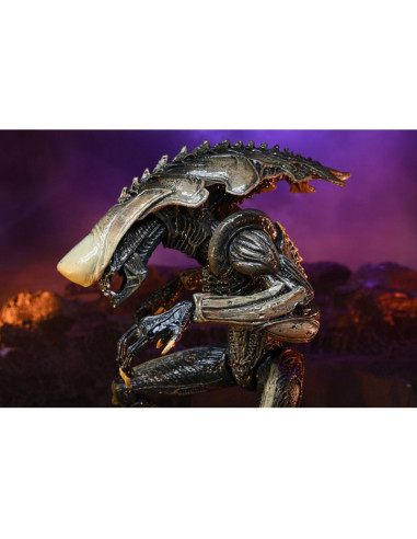 Alien VS Predator - Chrysalys Alien Neca