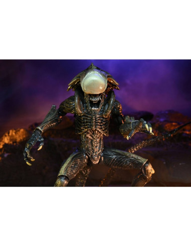 Alien VS Predator - Chrysalys Alien Neca