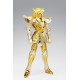 SAINT CLOTH MYTH EX VERSEAU HYOGA