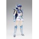 SAINT CLOTH MYTH Equuleus Kyoko & Equuleus power up cloth parts set