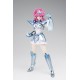 SAINT CLOTH MYTH Equuleus Kyoko & Equuleus power up cloth parts set