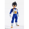Imagination Work - Vegeta