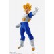 Imagination Work - Vegeta