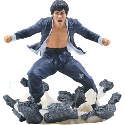 Bruce Lee Gallery Earth 