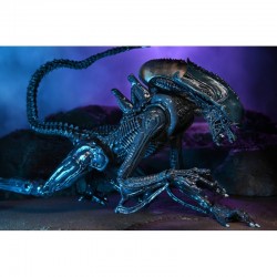 Alien VS Predator - Arachnoid Alien Neca