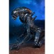 Alien VS Predator - Arachnoid Alien Neca