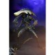 Alien VS Predator - Chrysalys Alien Neca