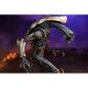 Alien VS Predator - Chrysalys Alien Neca