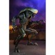 Alien VS Predator - Chrysalys Alien Neca