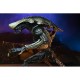 Alien VS Predator - Chrysalys Alien Neca