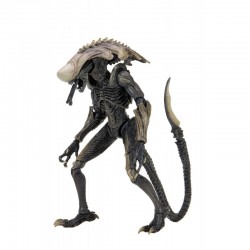 Alien VS Predator - Chrysalys Alien Neca