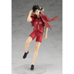 Haikyu - Tetsuro Kuroo PUP