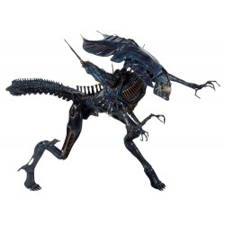 Aliens - Queen Alien Ultra Deluxe Neca 