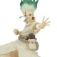 Dr.Stone - Senku Ishigami II Stone World