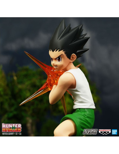Hunter X Hunter Gon Vibration Stars