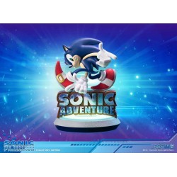 Sonic Adventure Collector Edition