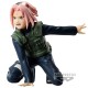 Naruto Shippuden - Haruno Sakura Panel Spectacle