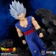 Dragon Ball Super Hero - Son Gohan Beast Solid Edge Works Vol.14