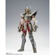 Myth Cloth EX Pegasus Seiya Knight of Zodiac 