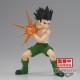 Hunter X Hunter Gon Vibration Stars