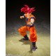 Figurine Dragon Ball Super Super Saiyan God Goku SHF