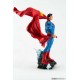 DC Comics Superman PX Classic Pure Arts