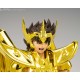 Myth Cloth Ex Seiya Du Sagittaire Inheritor Of The Gold Cloth 