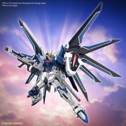 Hg 1/144 Gundam Rising Freedom