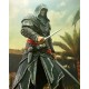 Assassins Creed Revelation Ezio AF