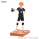 Haikyu!! Shoyo Hinata Mina No Kuji