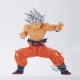 Figurine Dragon Ball Super Son Goku Blood Of Saiyans Special XX
