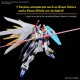 HG 1/144 Gundam Mighty Strike Freedom