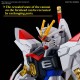 HG 1/144 Gundam Mighty Strike Freedom