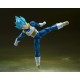 Dragon Ball Super Vegeta Super Saiyan God Super Saiyan Unwavering SHF
