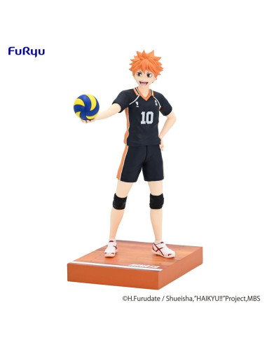 Haikyu!! Shoyo Hinata Mina No Kuji