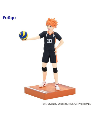 Haikyu!! Shoyo Hinata Mina No Kuji