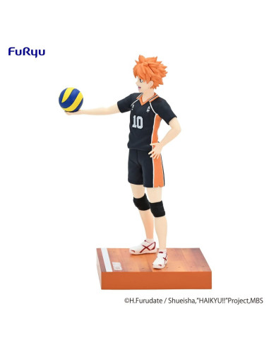 Haikyu!! Shoyo Hinata Mina No Kuji