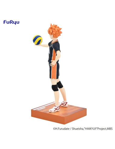 Haikyu!! Shoyo Hinata Mina No Kuji