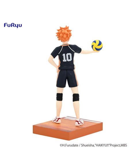Haikyu!! Shoyo Hinata Mina No Kuji