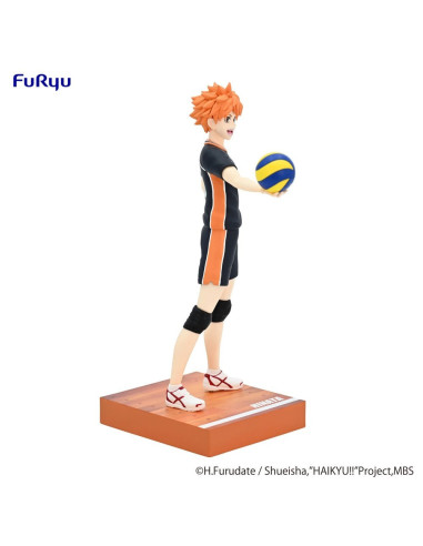 Haikyu!! Shoyo Hinata Mina No Kuji