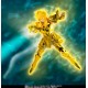 Myth Cloth Ex Aquarius Hyoga Inheritor Of The Gold Cloth