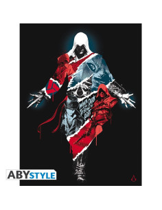 Toile Assassin's Creed Legacy 30 x 40 cm