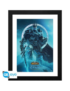 Poster Encadré World of Warcraft Roi Liche 30x40 cm