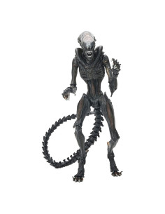 Figurine articulée du Xenomorph brûlé de face