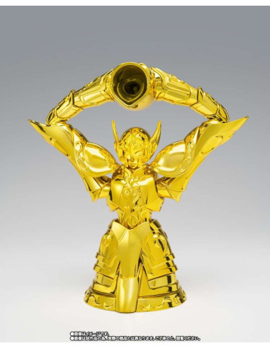 Myth Cloth Ex Aquarius Hyoga Inheritor Of The Gold Cloth