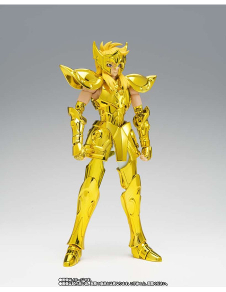 Myth Cloth Ex Aquarius Hyoga Inheritor Of The Gold Cloth
